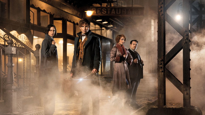 Fantastic Beasts and Where to Find Them still 3