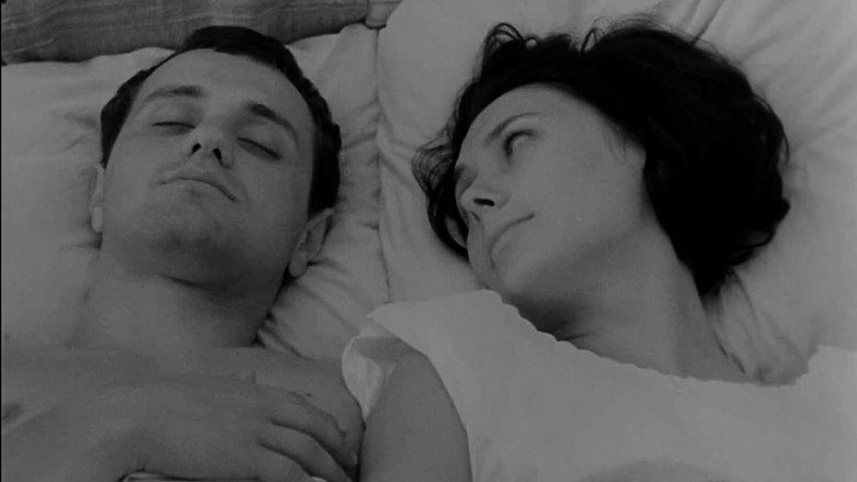Conscience still 7