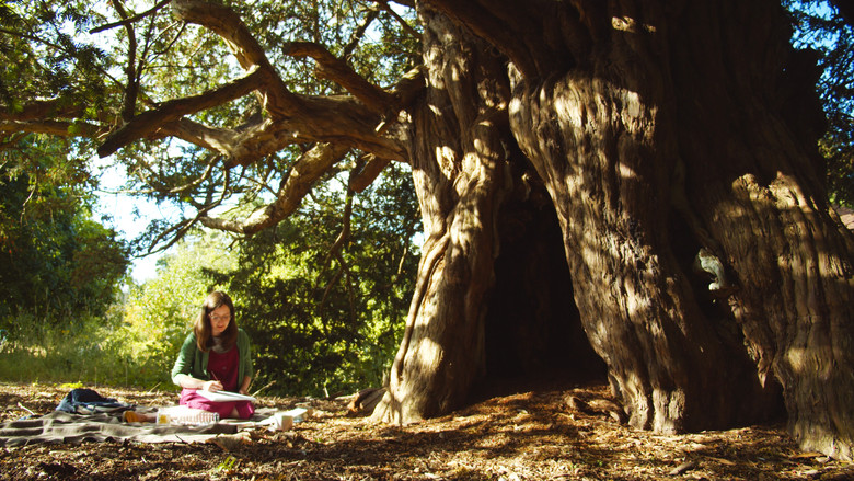 A Kingdom of Tea & Strangers still 8