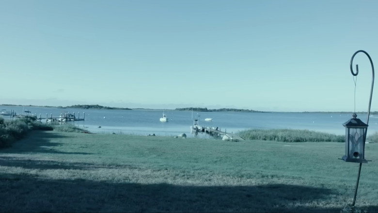 Windblown still 6