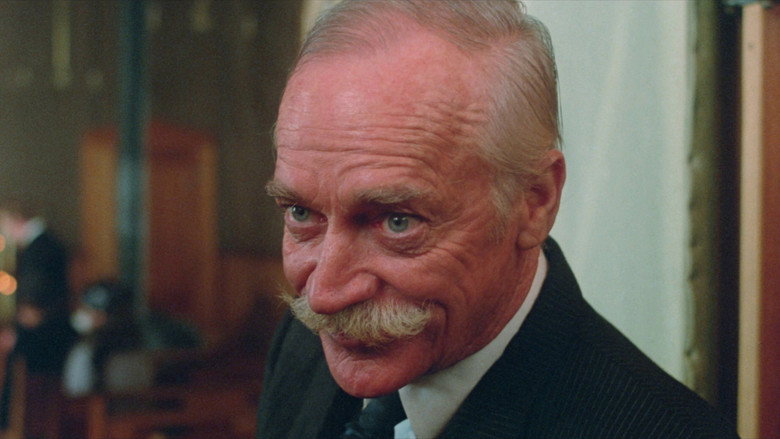 The Grey Fox still 3