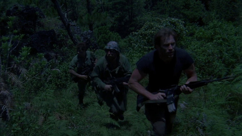 The Devastator still 2