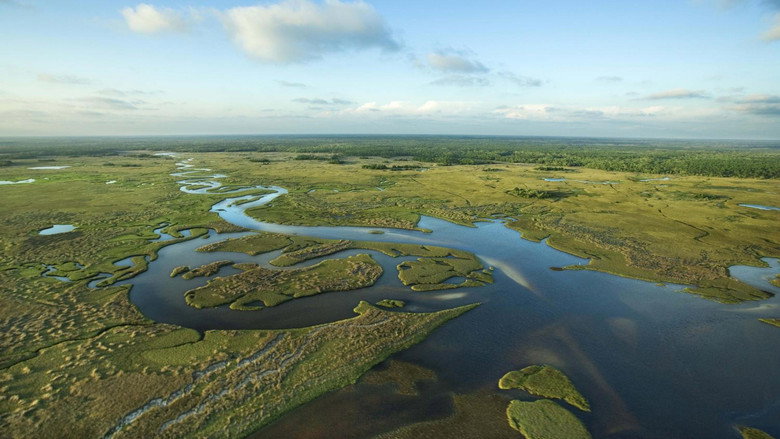 National Parks Exploration Series: The Everglades still 1