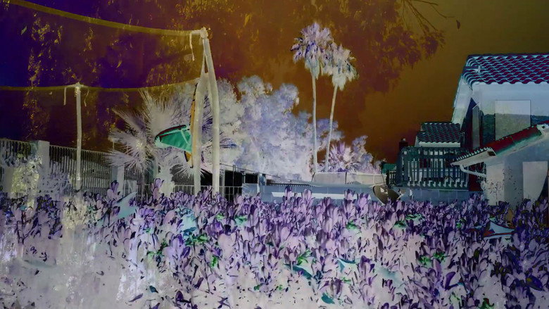 Revisited Remunerations Rapturously Collapse When Recompensed still 1