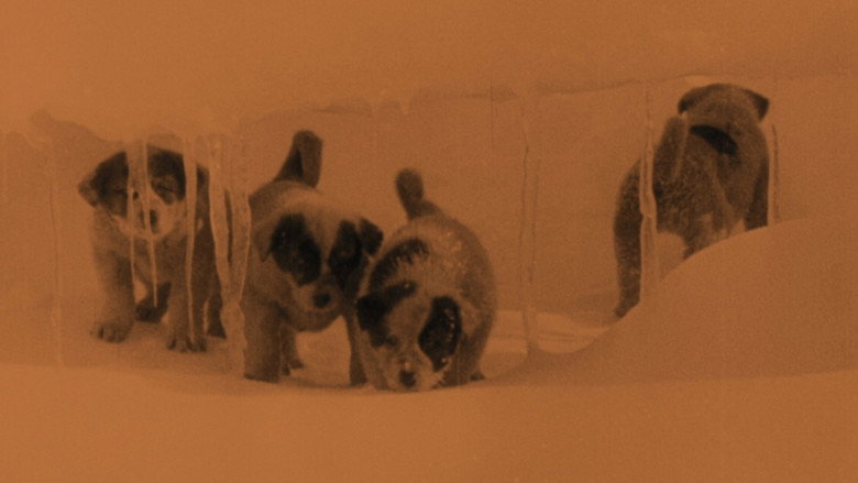 South still 3