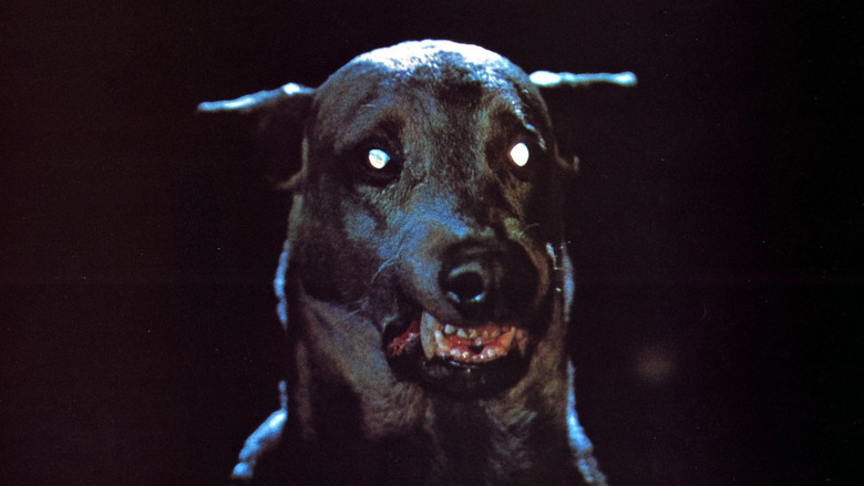 Zoltan… Hound of Dracula still 4