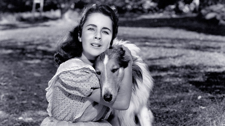 Courage of Lassie still 5
