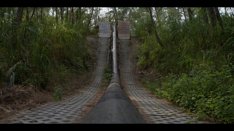 Dirt Therapy still 1