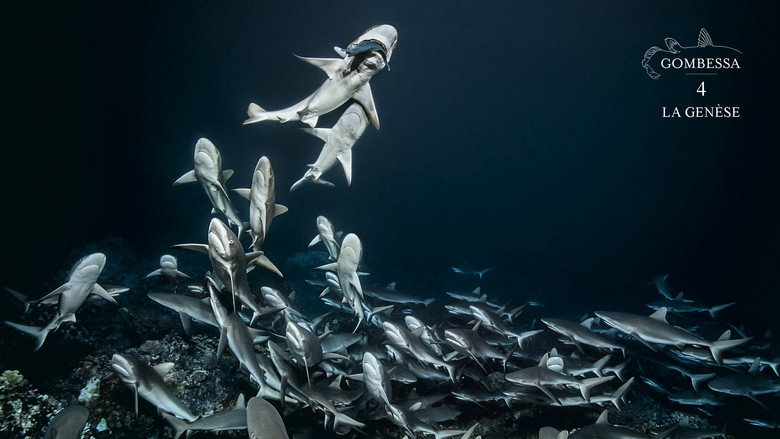 700 Sharks (Gombessa 4, Genesis) still 4