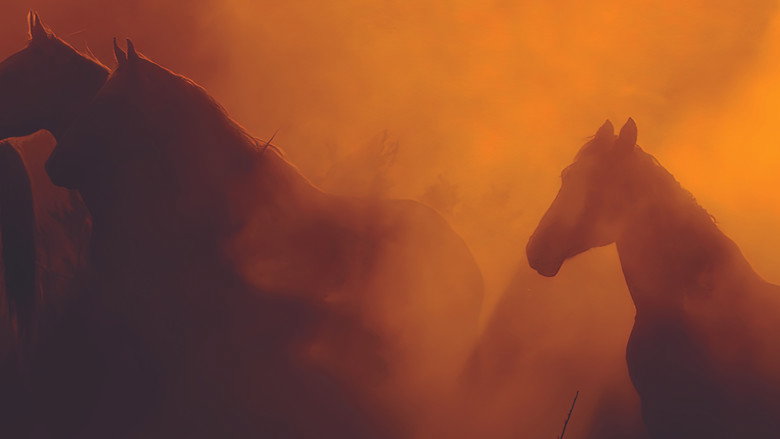 Wild Beauty: Mustang Spirit of the West still 1