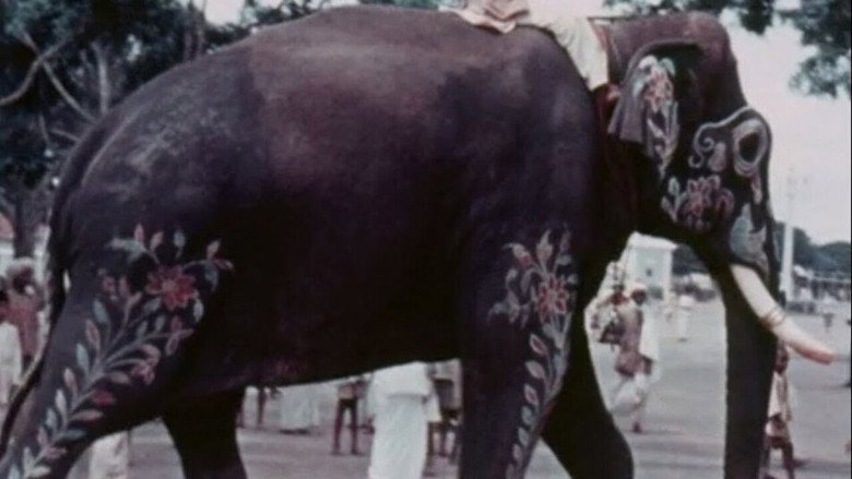 Mysore still 1