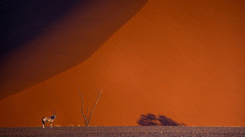 Namibie : exceptionnelle par nature still 1