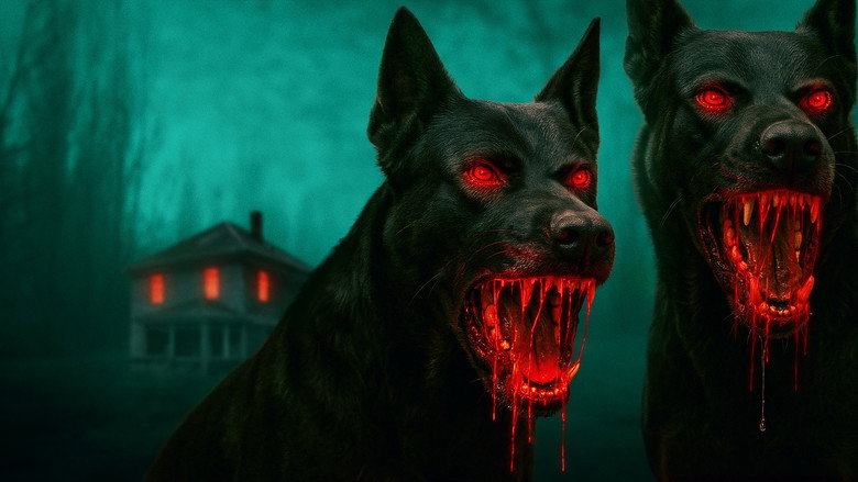 The Dogs still 7