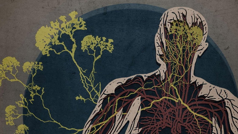 The Creeping Garden still 2