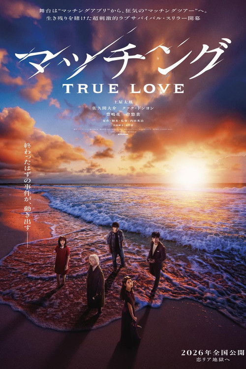 Matched: True Love poster