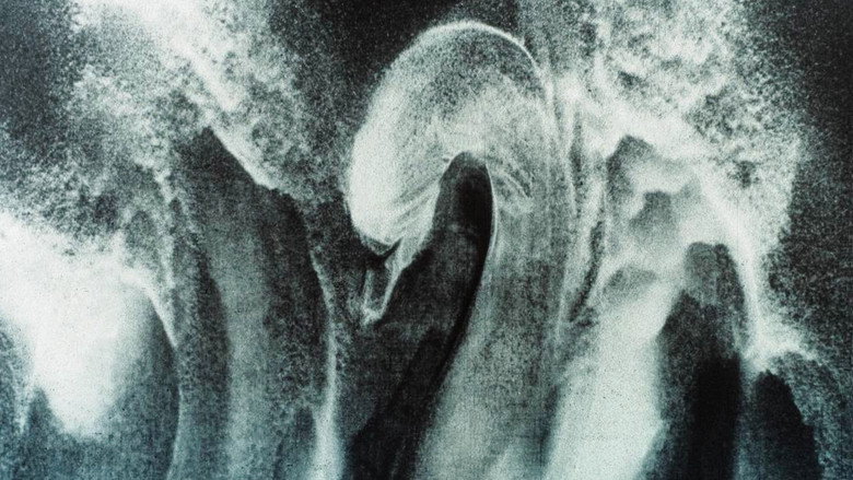 The Swan still 3