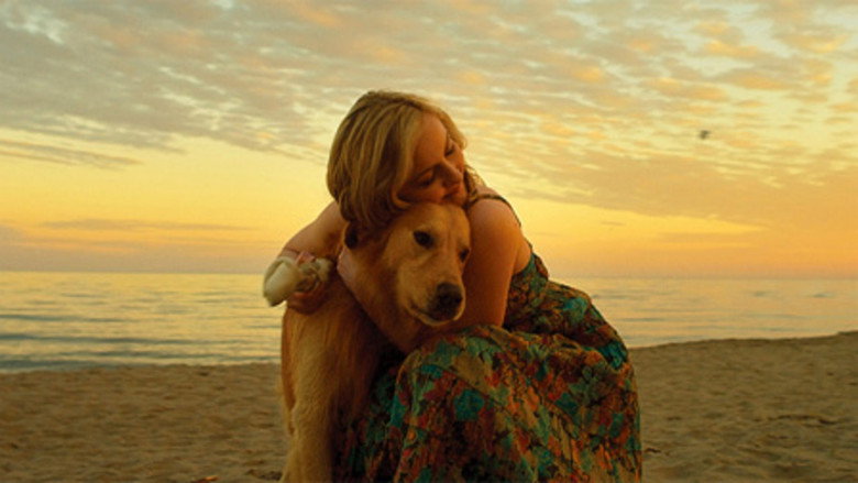 Good Boy still 1