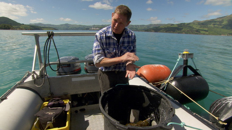 Trailblazers: The New Zealand Story still 2