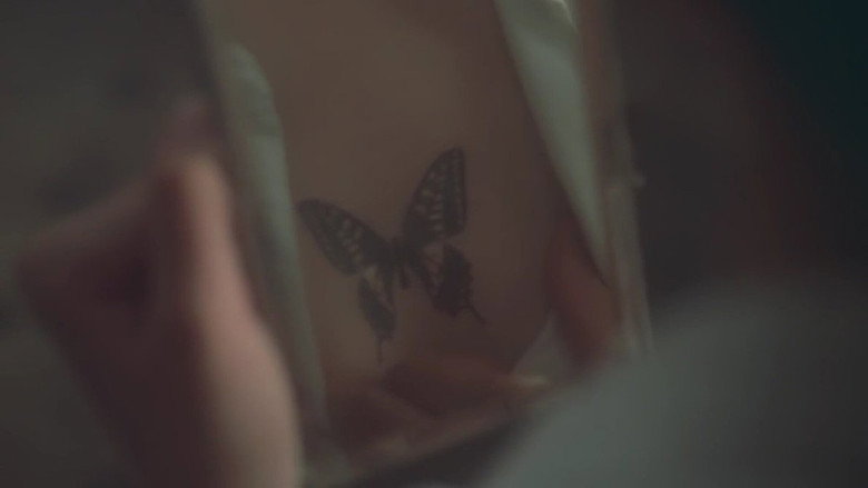 Swallowtail Butterfly still 6