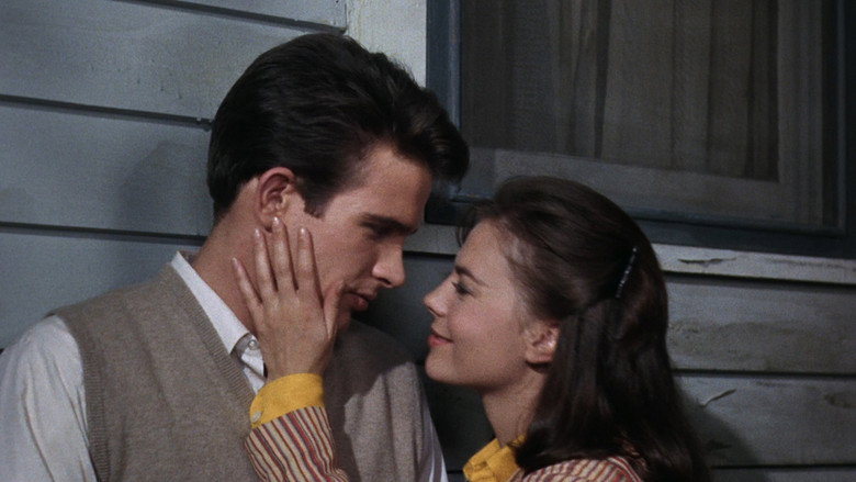 Splendor in the Grass still 4