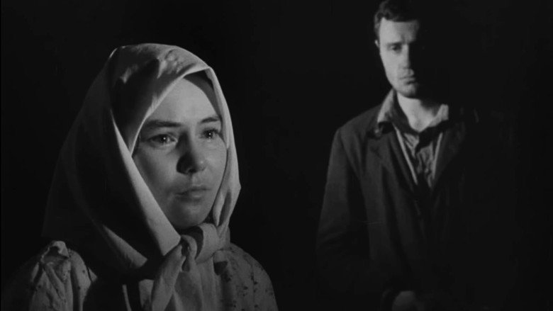 Conscience still 5