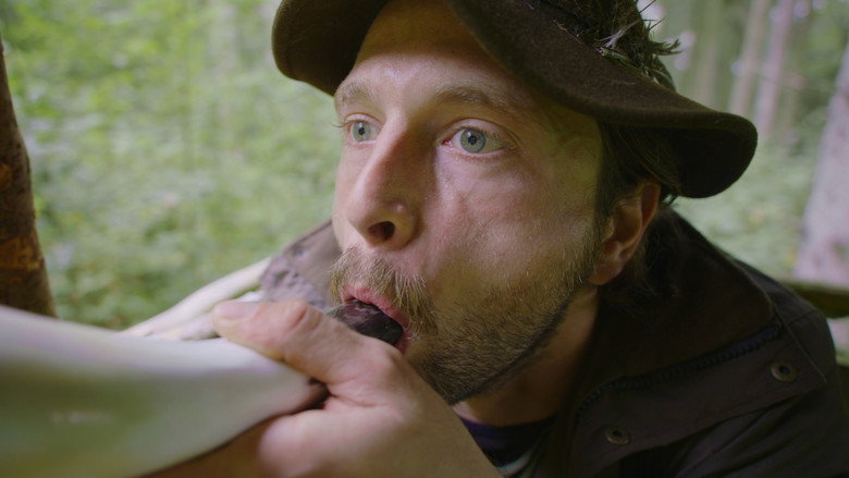 Abgeschossen still 1