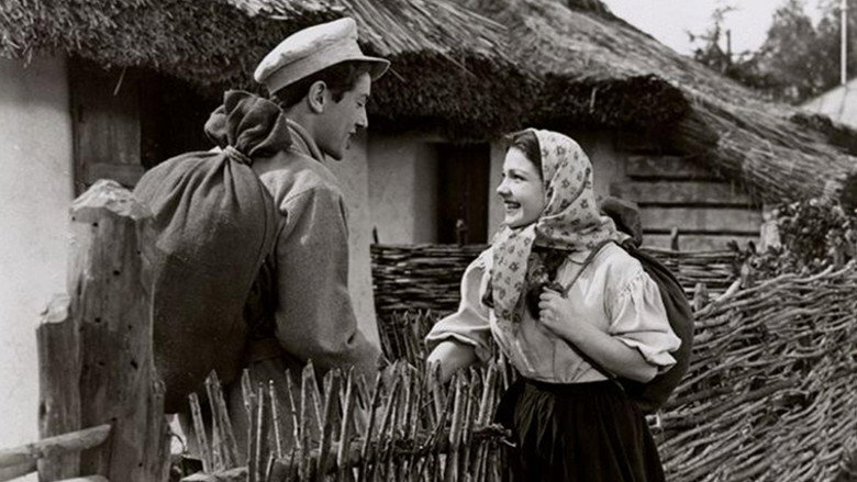 The North Star still 3