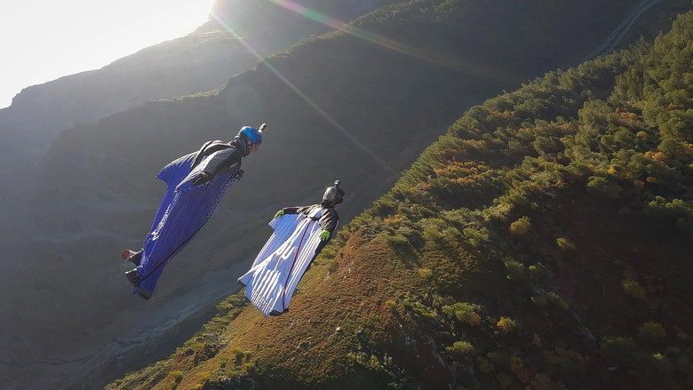 Fly still 4