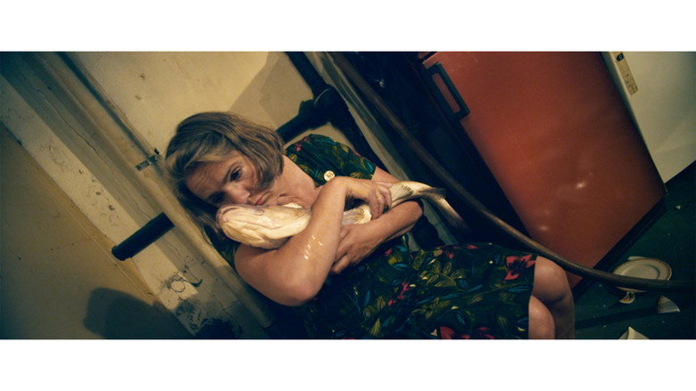 Normality still 3