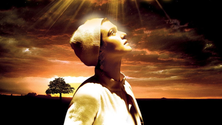The Fountain still 8