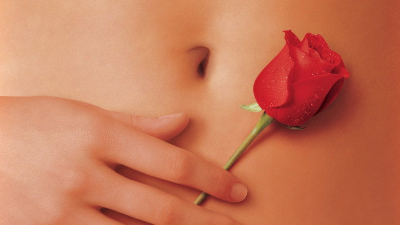 American Beauty still 2