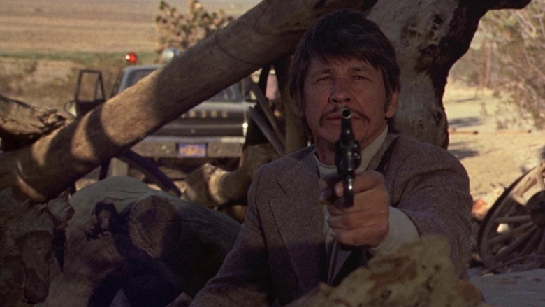 The Stone Killer still 5