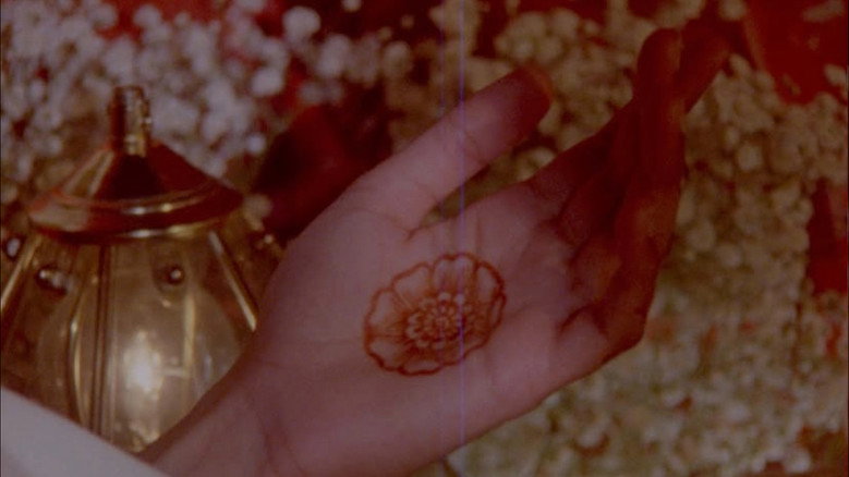 what does it feel like to live inside a pomegranate? still 1