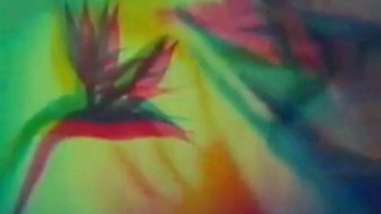 The Psychedelic Experience still 1