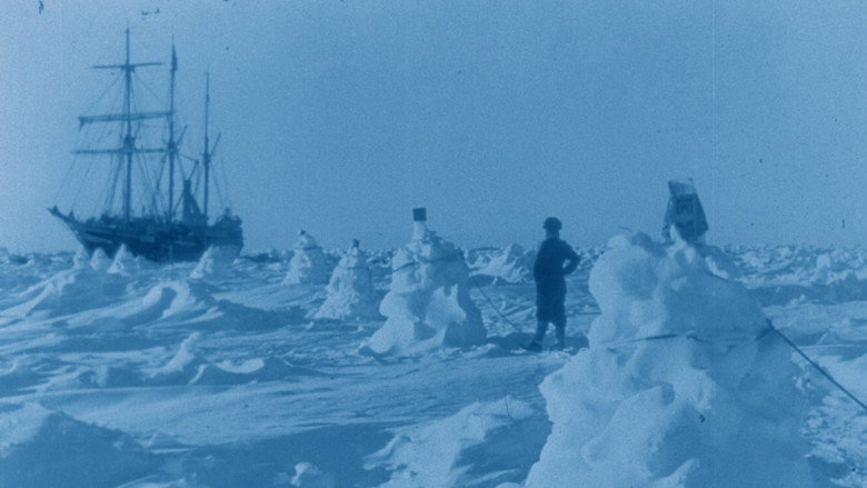 South still 4